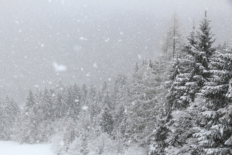 Tempête de neige