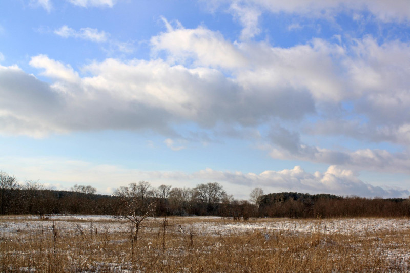Campagne avec nuages en hiver