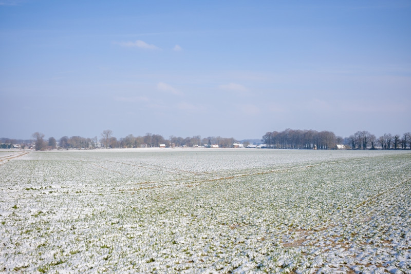 Champ gelé sous la neige