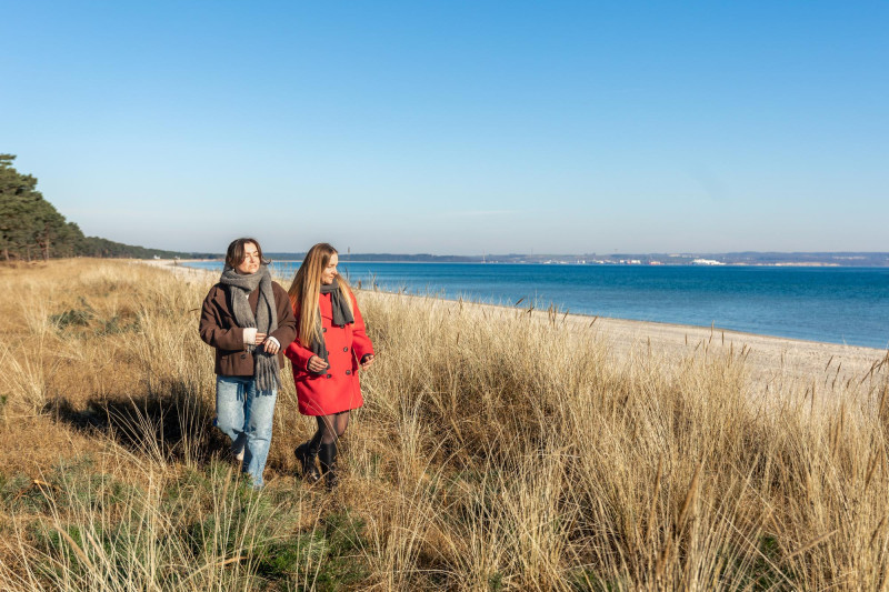 Deux amis se promènent sur une plage