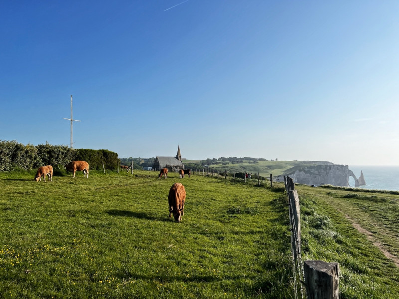Paysage de Normandie
