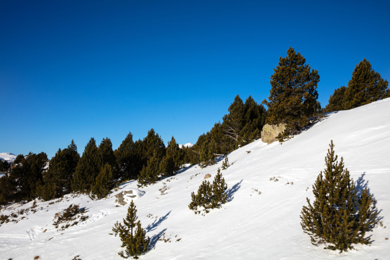 Paysage de montagne encore enneigée
