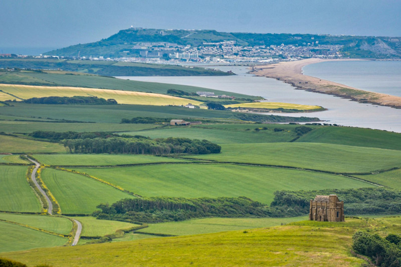 Champs près de la mer