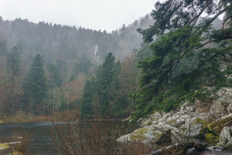Lac et forêt sous la pluie