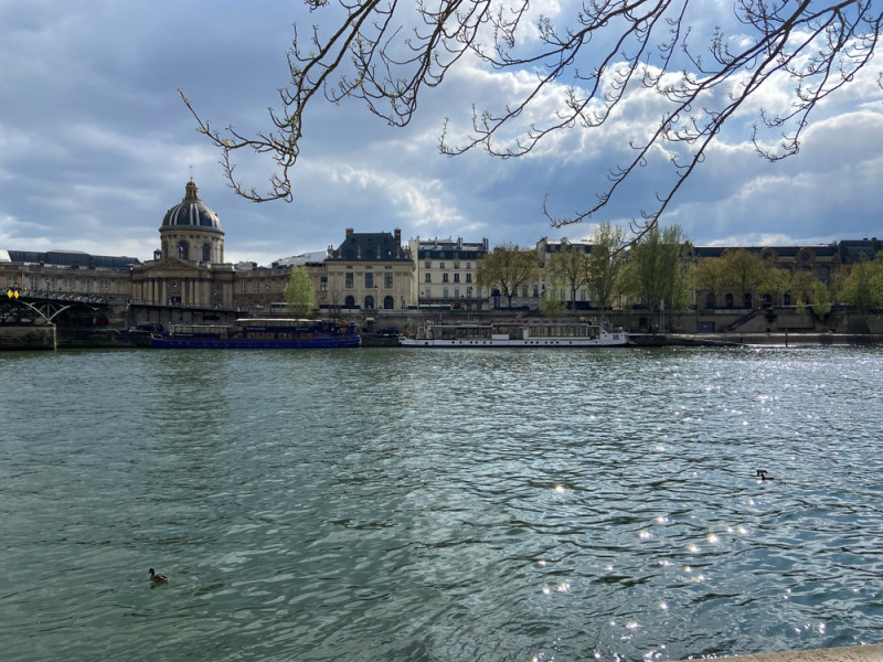 Seine à Paris