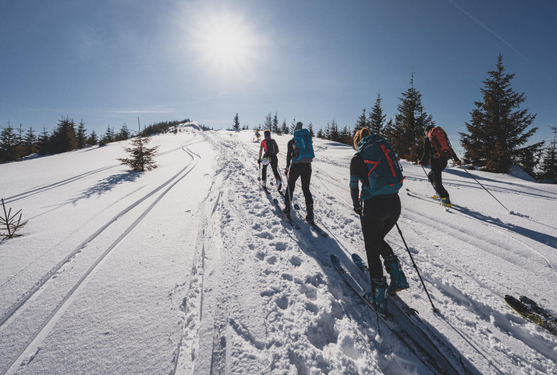 Skieurs de randonnée
