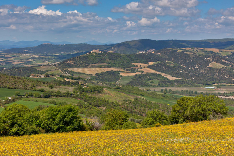 Campagne en Occitanie