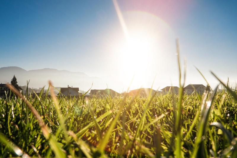 De l'herbe et du soleil