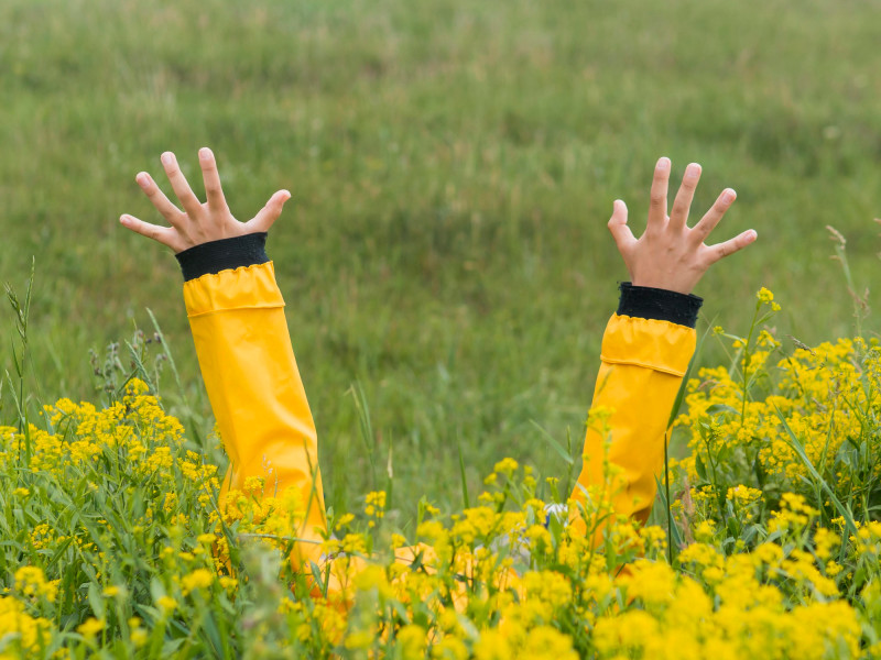 Un garçon lève les mains dans un champ fleuri