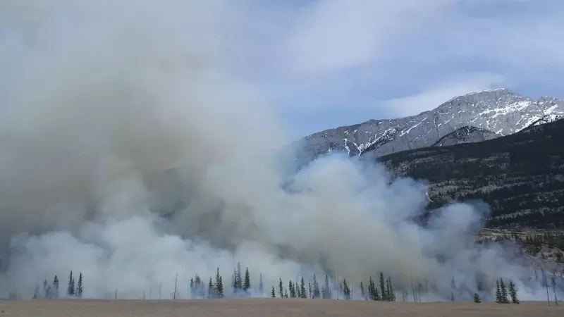 Incendie forêt