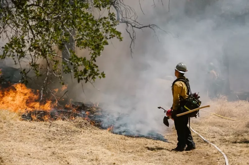 Pompier face à un incendie de forêt
