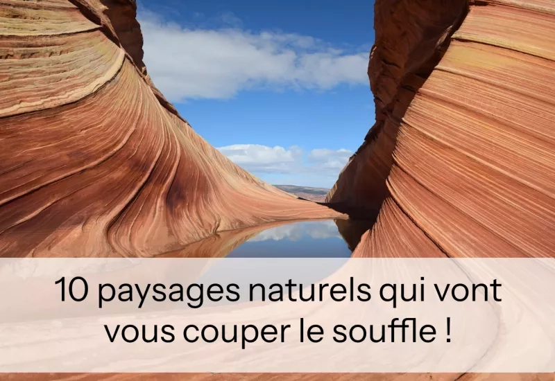 Paysage de montagne