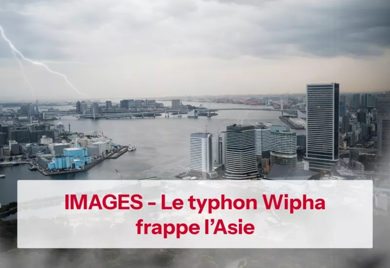 Typhon wipha