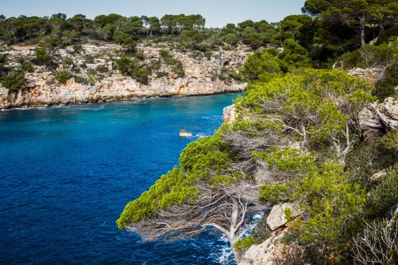 Calanques de cassis