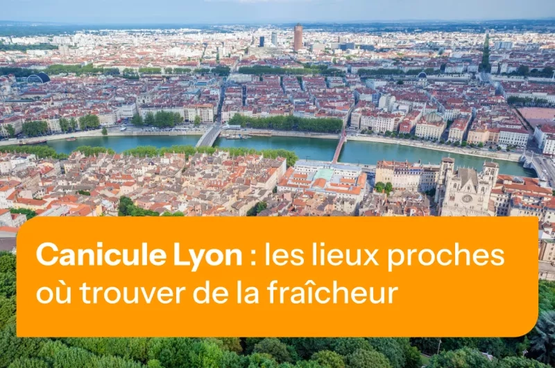 Lyon vue du ciel