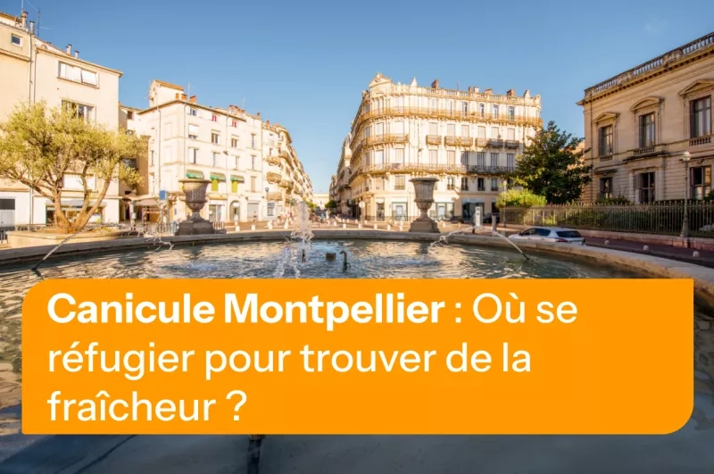 Place Montpellier avec fontaine