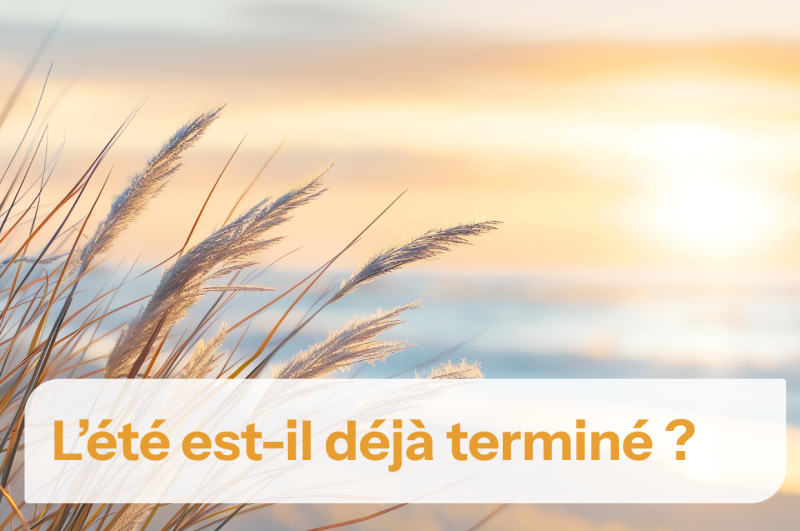 Plage avec dunes