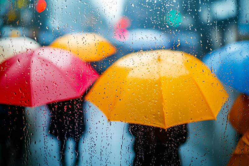Plusieurs personnes avec des parapluies colorés