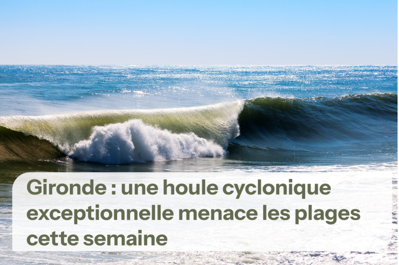 Houle impressionnante