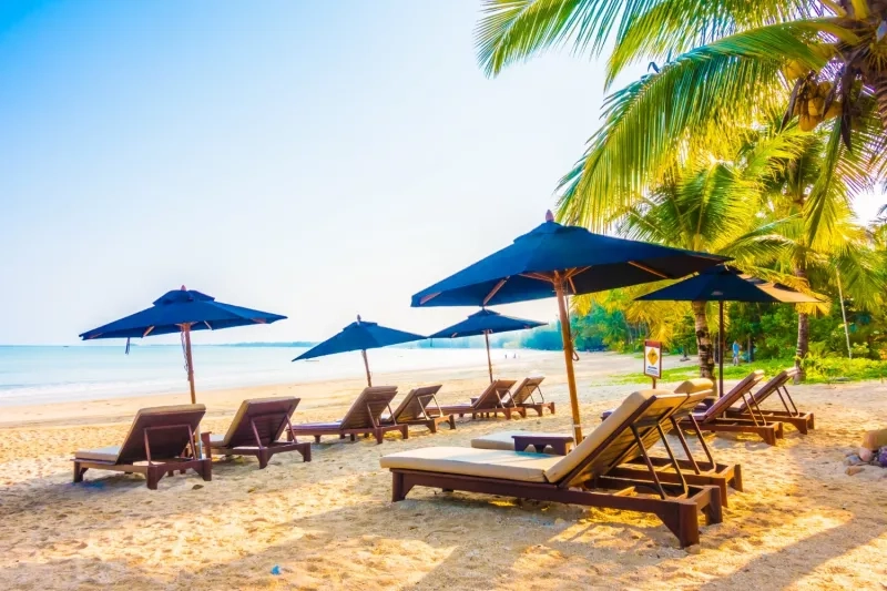 Plage avec transats et palmiers