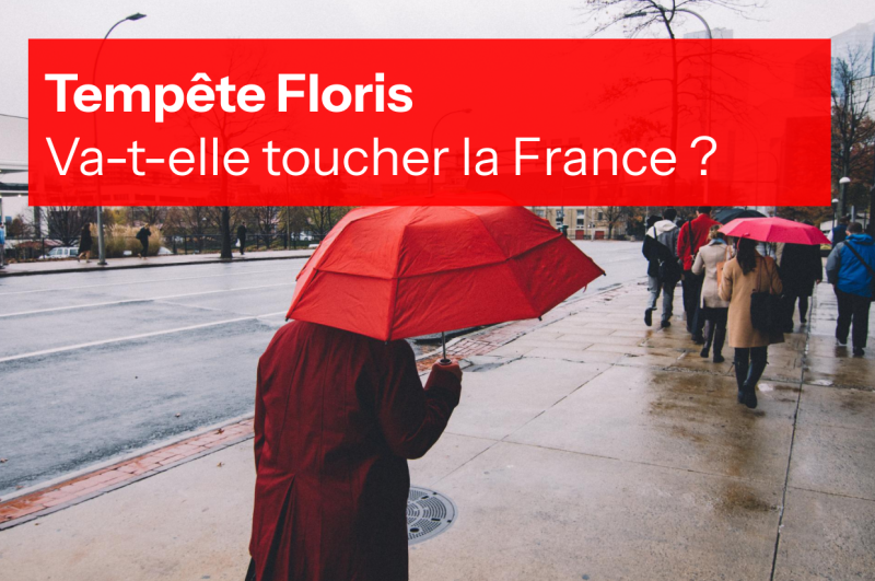 tempête floris