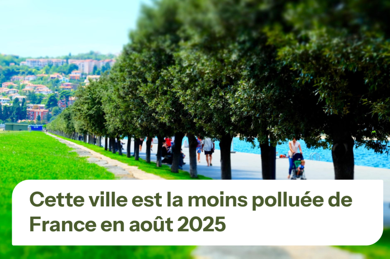 Ville avec une rangée d'arbres
