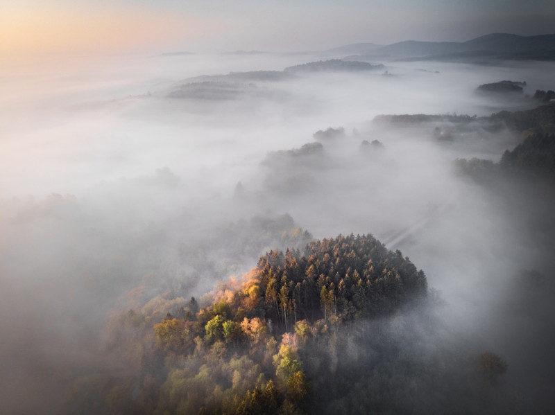 Brouillard