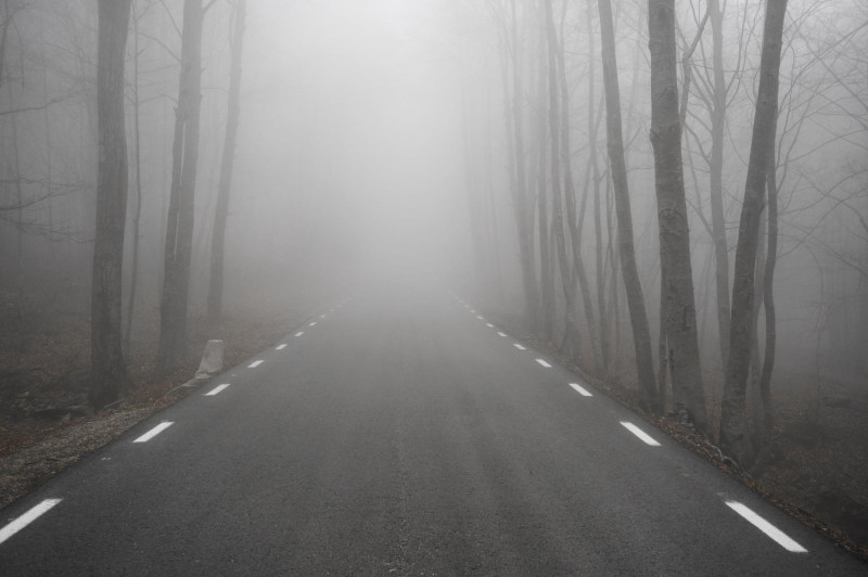 Brouillard sur une route