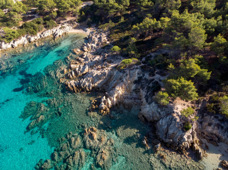 Corse