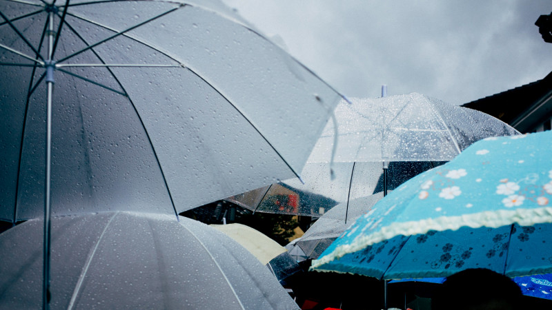 Parapluies