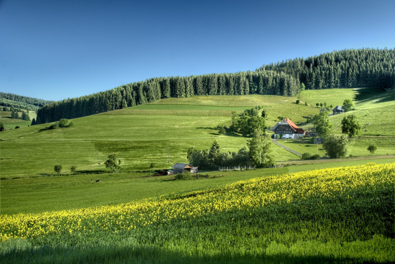 Pays-basque
