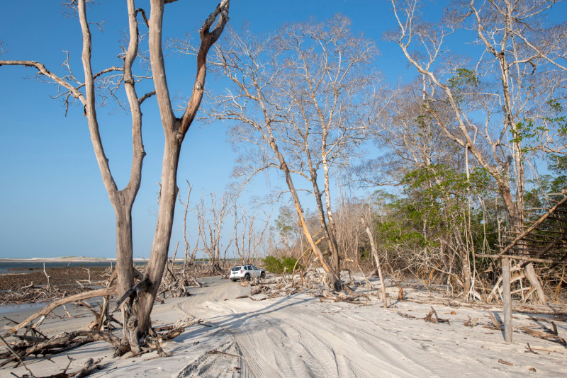 Paysage de catastrophe naturelle