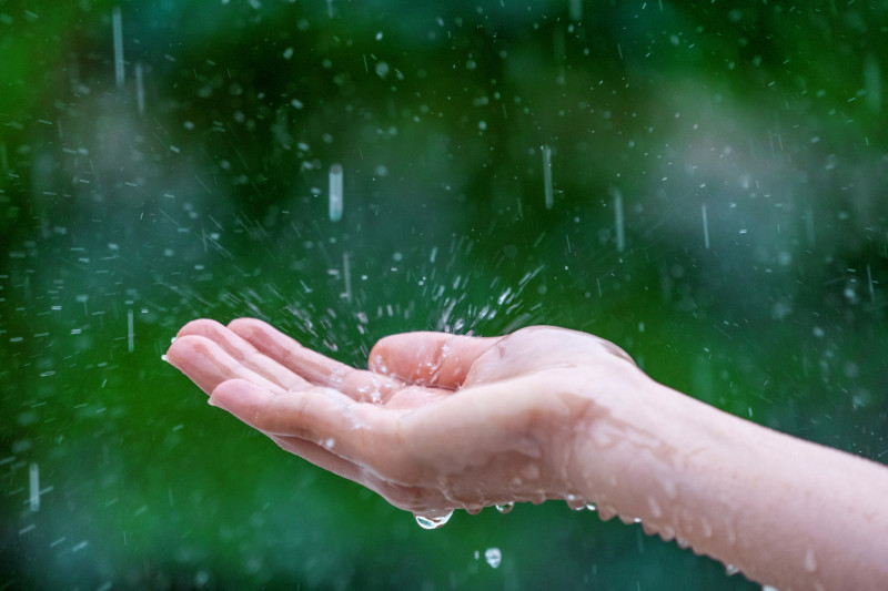 De la pluie tombe dans la paume d'une main