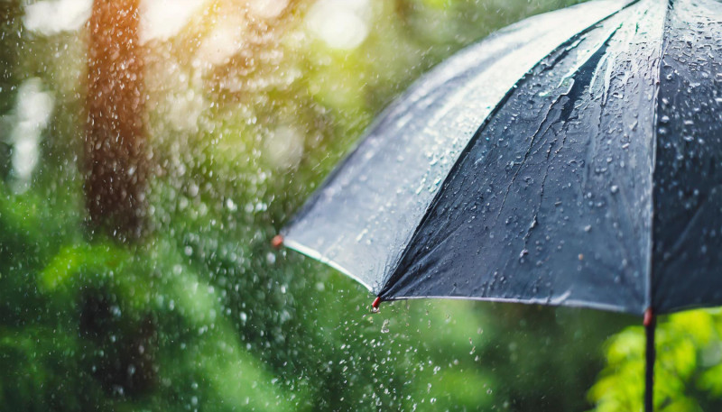 Un parapluie sous la pluie