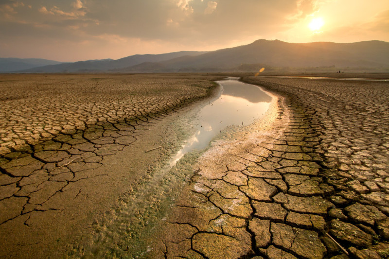 Terre craquelée et rivière asséchée
