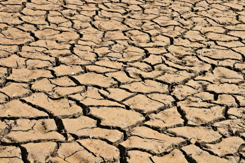 Terre craquelé par la sécheresse