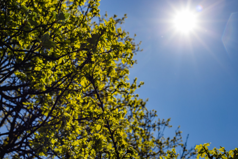 Soleil et ciel bleu