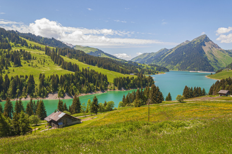 Suisse