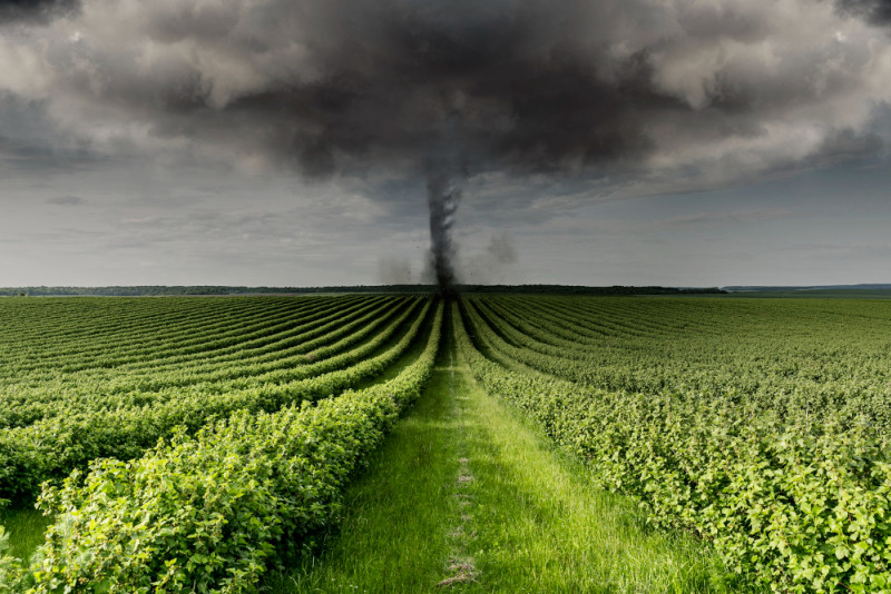 Une tornade dans les champs