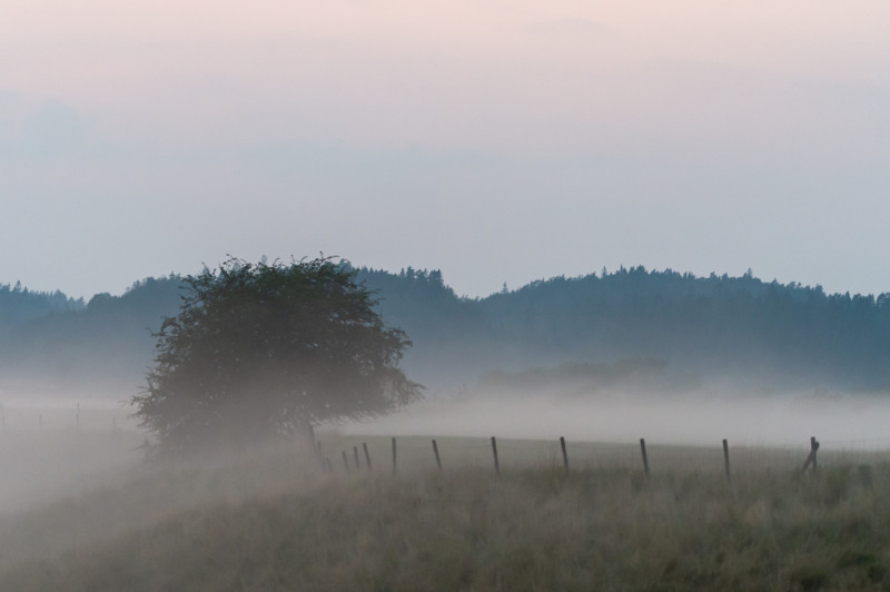 Campagne en plein brouillard