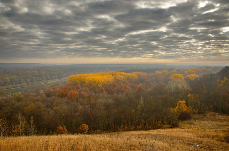 Paysage de campagne