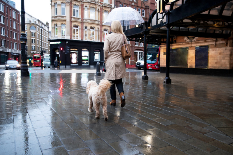 Une femme promène son chien avec un parapluie