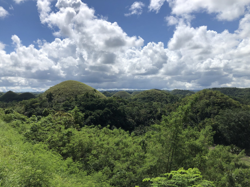 Forêt tropicale