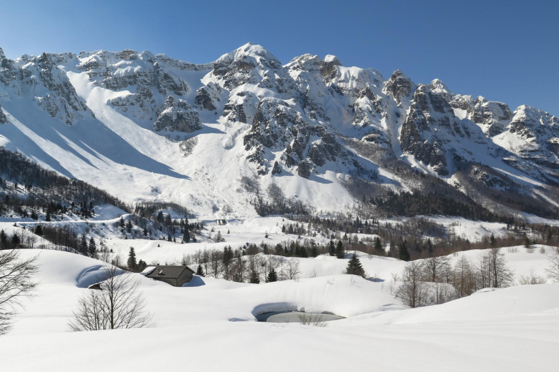 Alpes enneigées