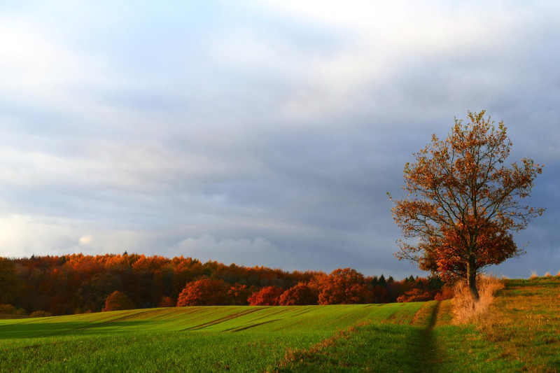 Plaine avec ciel nuageux