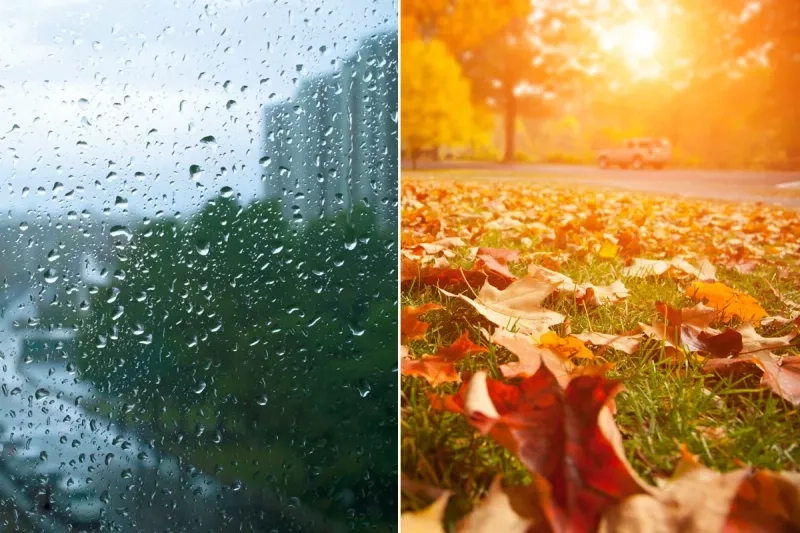 pluie douceur automne