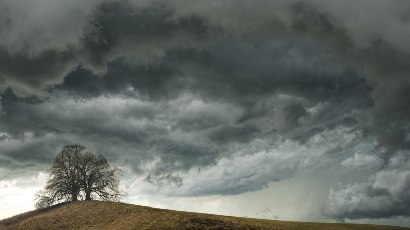 Un arbre dans une plaine avec un ciel très menaçant