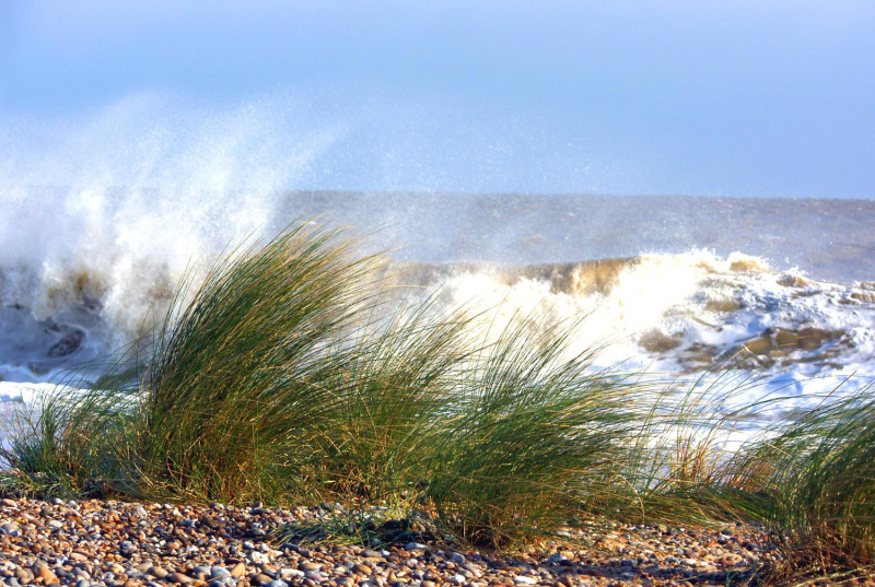 Vent sur une plage de Bretagne