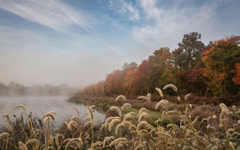 campagne en automne