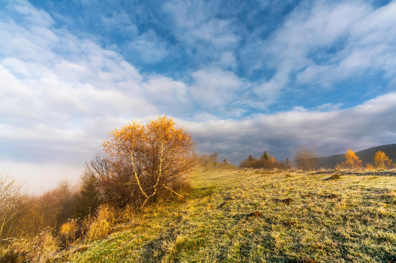 Campagne en automne